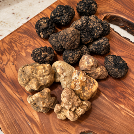 tartufo bianco pregiato maestri tartufai